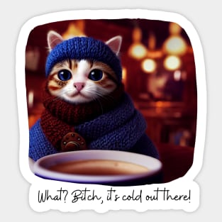 It's Cold Kitten Cat Sticker